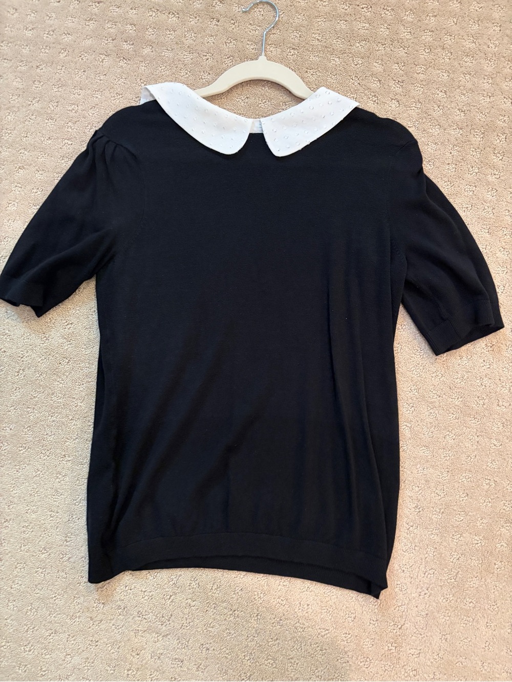 Adrianna Papell Black Knit Top with White Peter Pan Collar - Picture 1 of 5